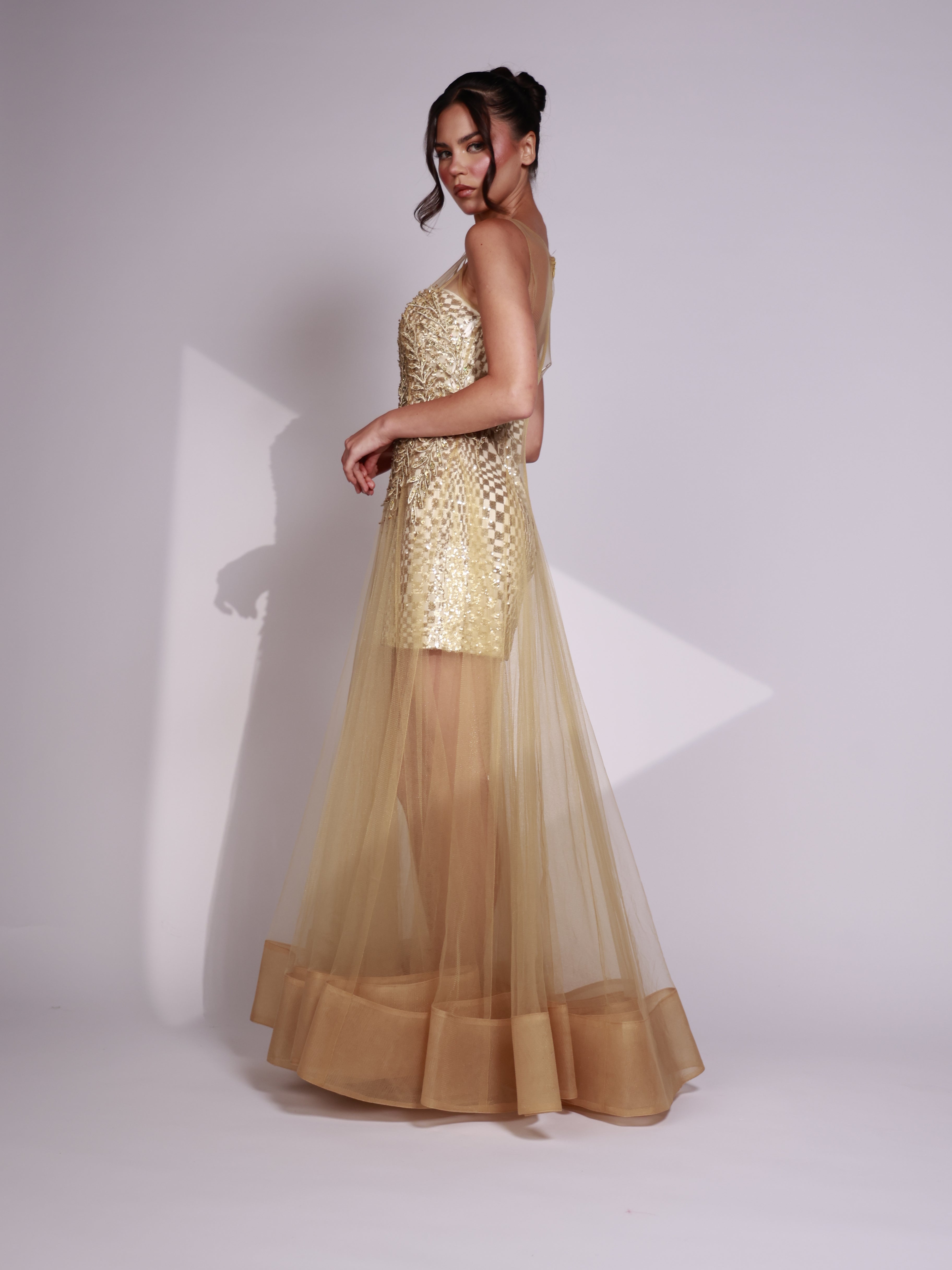 Golden Radiance Dress-thumbmail-3