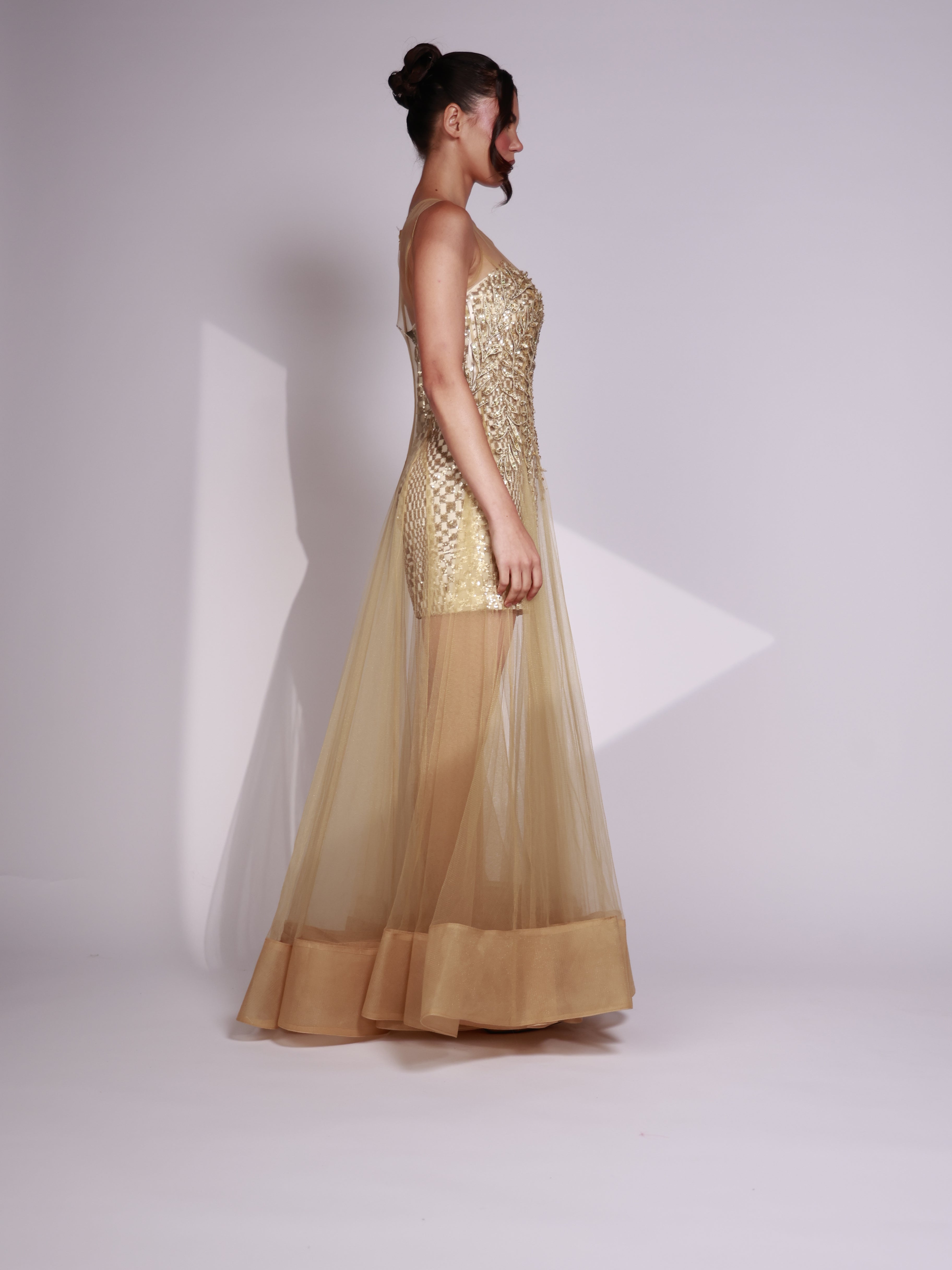 Golden Radiance Dress-thumbmail-5