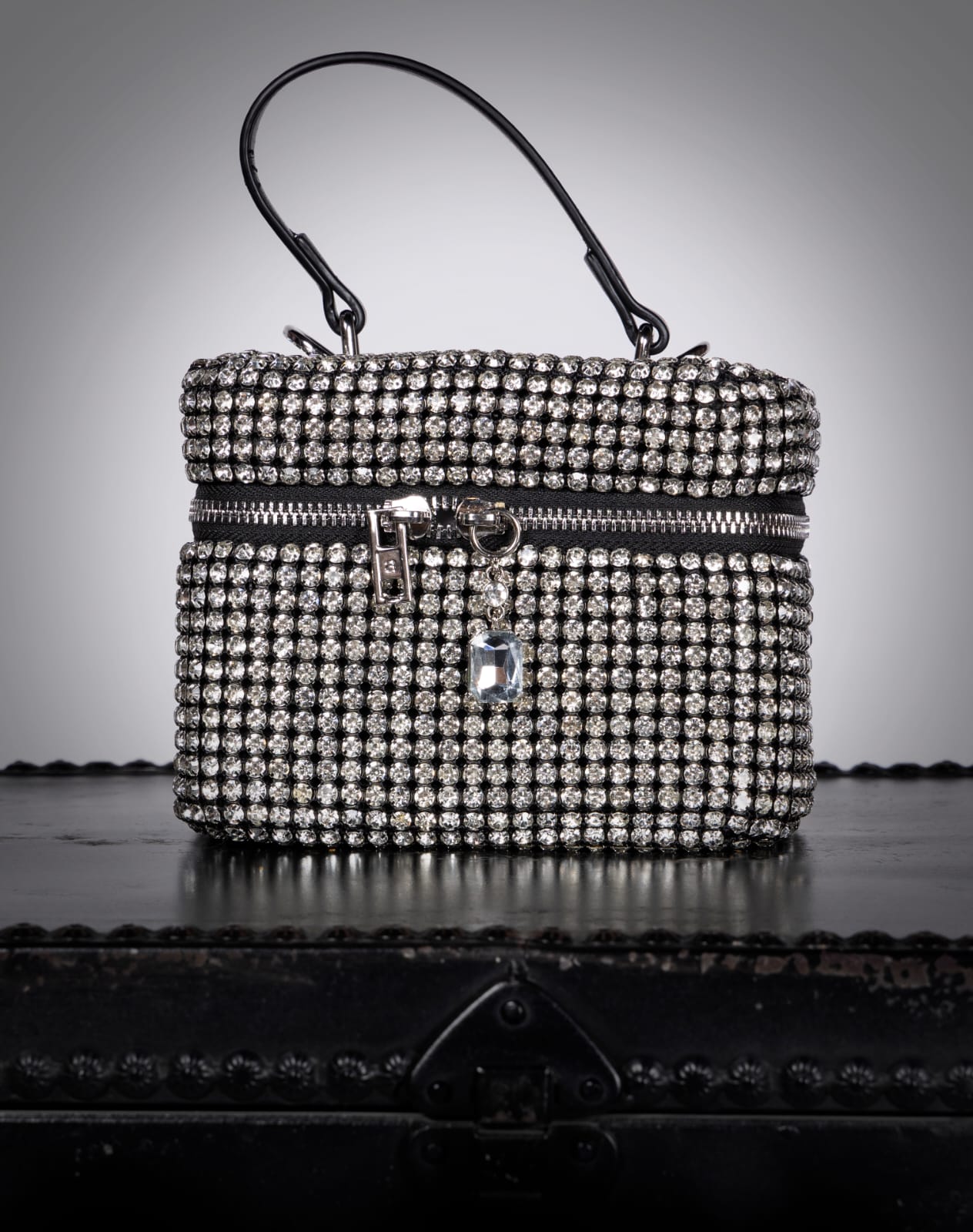 Handbag - 100